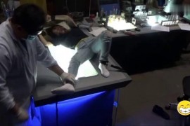 科学家心理学面试招募 - C269