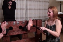 Asian Dark Blossom - B578