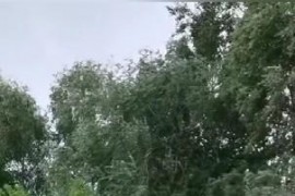 Episode Buried  - A133