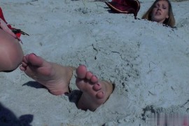 High Seas Hilarity - D828