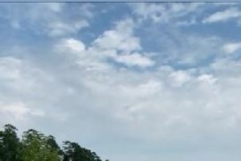 Episode  Korova - A135