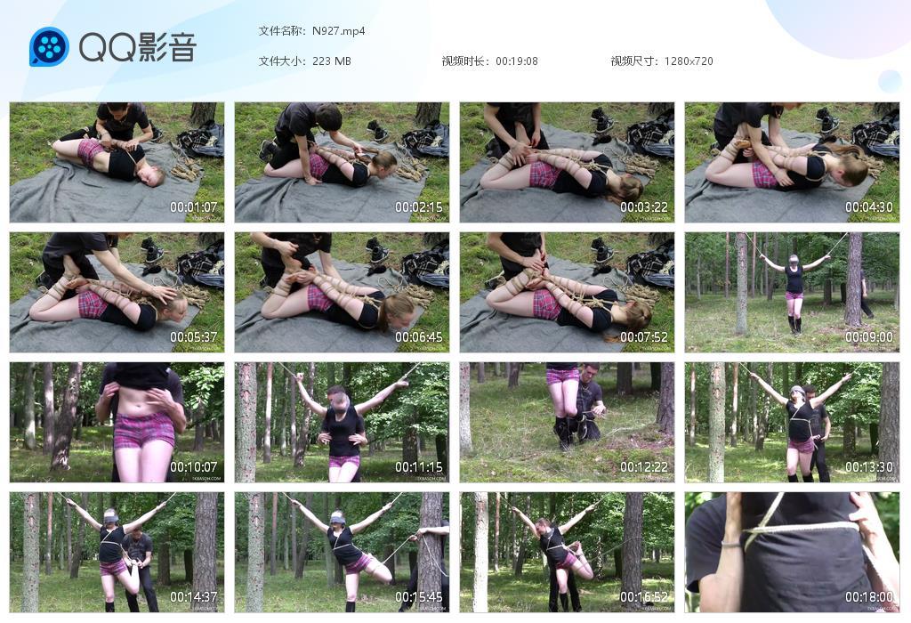 O.jpg The forest Tk - N927  第1张